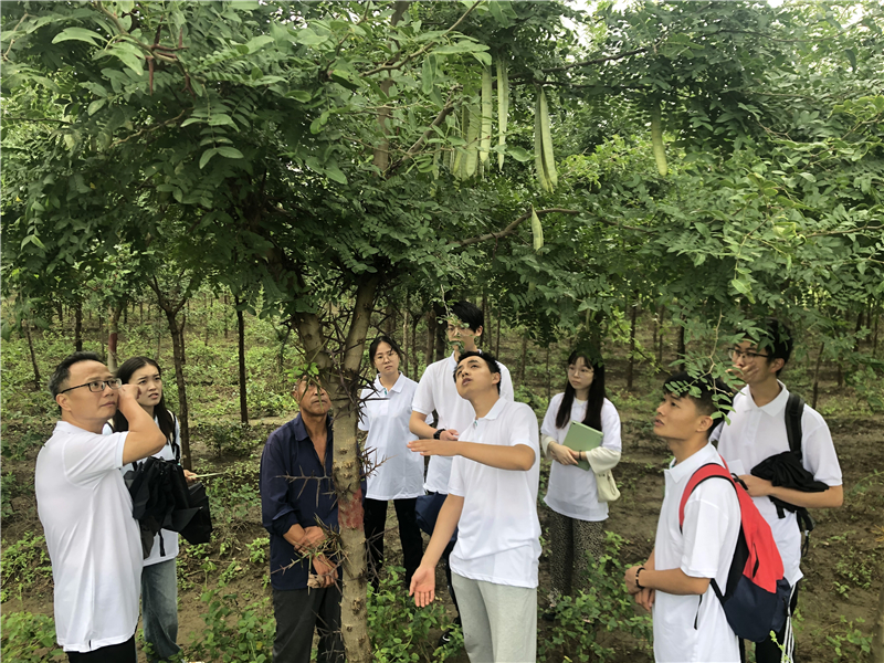 实践团队在种植基地对村民进行种植和防病虫害技术指导.jpg