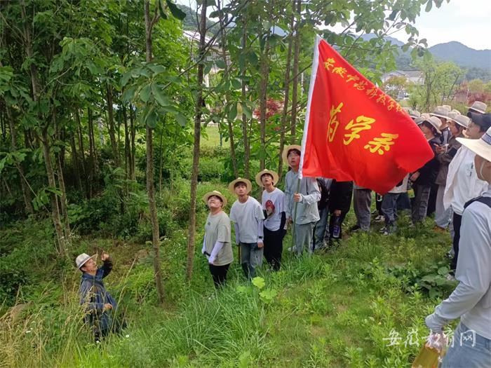 3采药过程中辅导教师现场讲解药用植物知识1.jpg