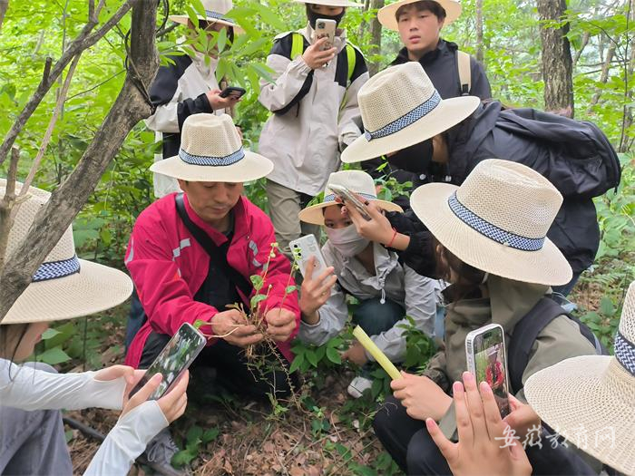 安徽中药科技学校开展野外实践教学 彰显思政育人力量3.jpg