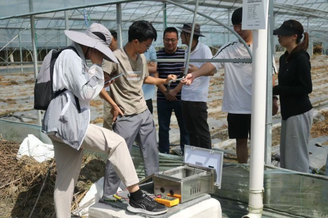 宁波财经学院“数智赋能乡村”暑期社会实践团成员在田间调试安装设备 学校供图1.jpg